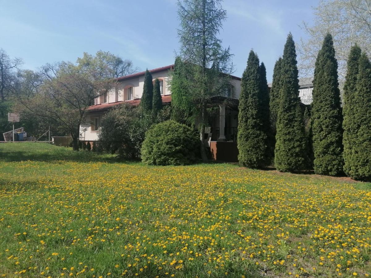 Staff House Bed & Breakfast Nyíregyháza Екстериор снимка